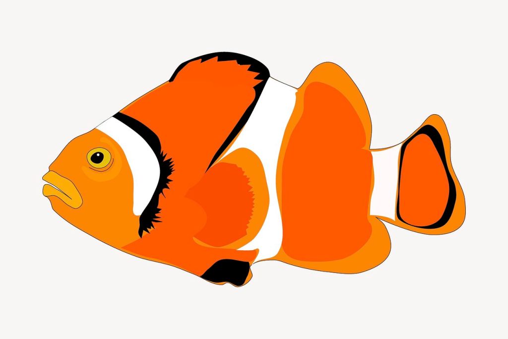 Clownfish sticker, cartoon animal illustration